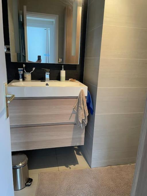 Appartement A 150M Du Lac- Plage De L'Imperial Annecy Buitenkant foto